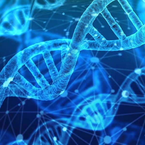DNA